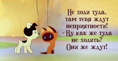 Неприятности никогда не дремлют