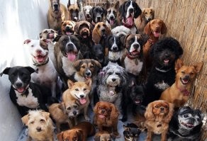 С Добрым утром, господа трудящиеся Фишек