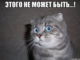 Откровения бывшего игрока: футболисты попадали в сборную за деньги