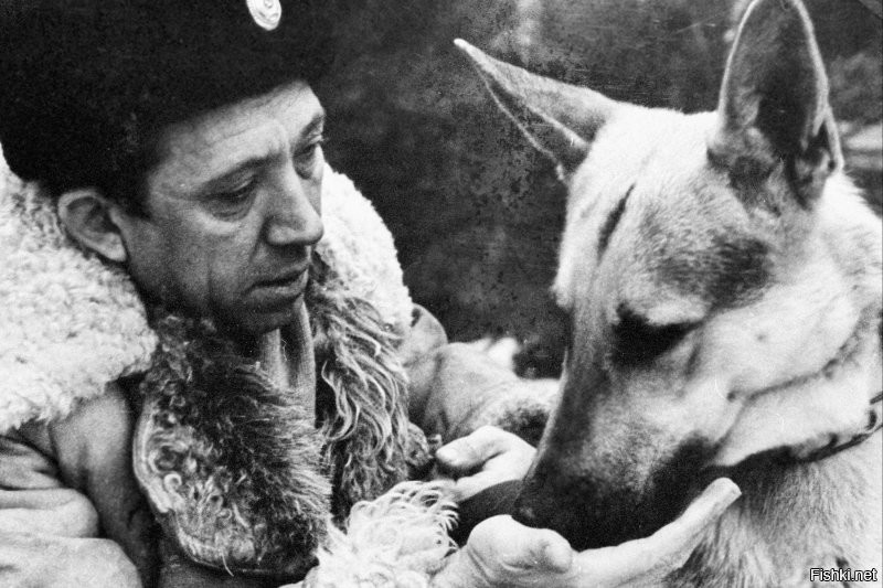 Единственный фильм, где Юрий Никулин и Евгений Леонов снялись вместе