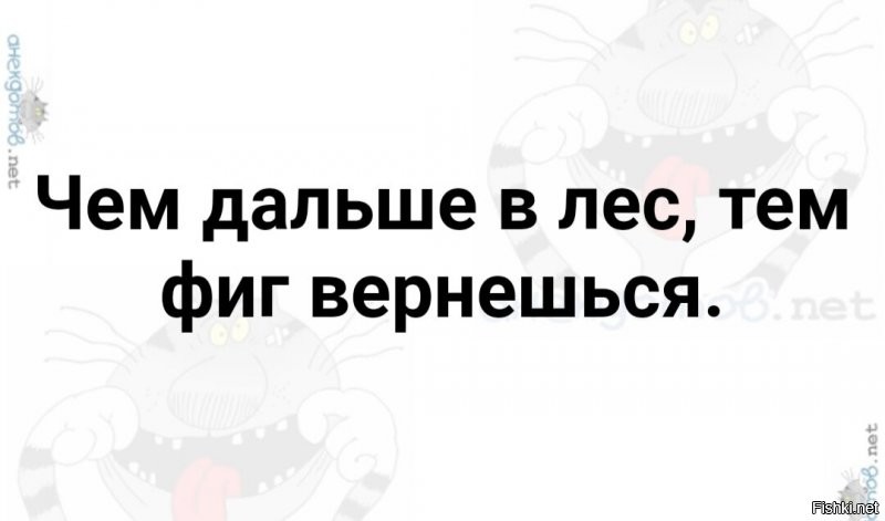 Солянка от 18.10.2021