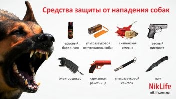 Так и есть ))) Пойдем выйдем ! Ты один и мы одни ! ) Собаки !!!