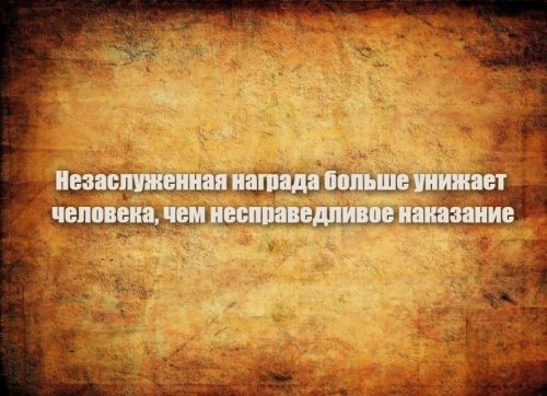 Плевок на краповый берет: в Грозном спецназовцы устроили драку из-за мошенничества кавказцев