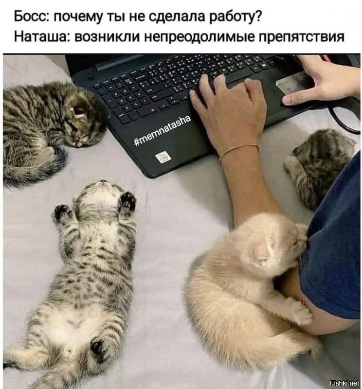 Солянка от 19.10.2021