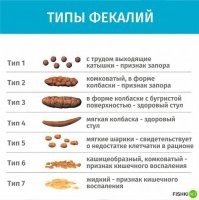 30 печальных, но достоверных фактов в вашу копилку знаний