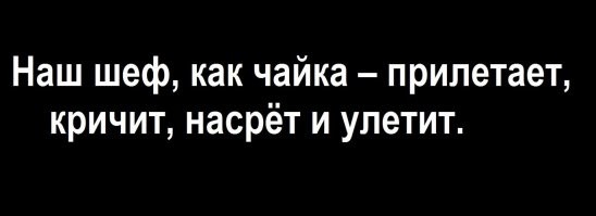 Анекдоты в&nbsp;картинках