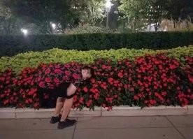 Хорошая маскировка. Присел на клумбе - и вуаля...