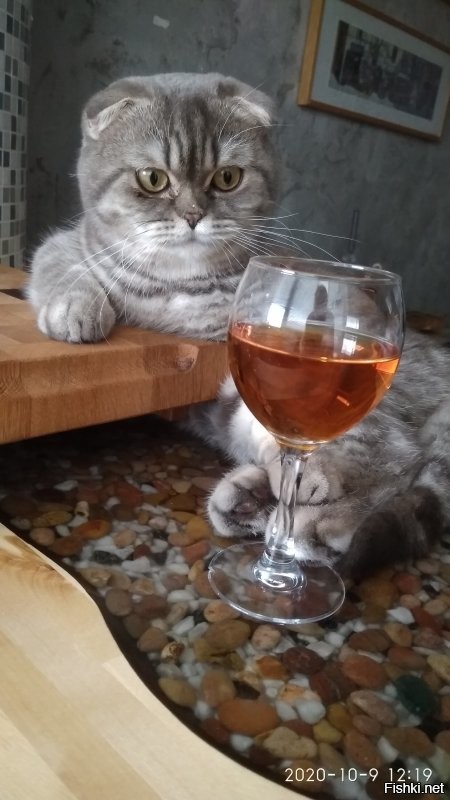 Ту дринк ор нот ту дринк.