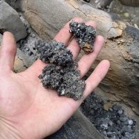 Большинство коментов - полнейший шлак.