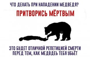 Российский боксер Медведев одолел медведя