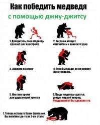 Российский боксер Медведев одолел медведя