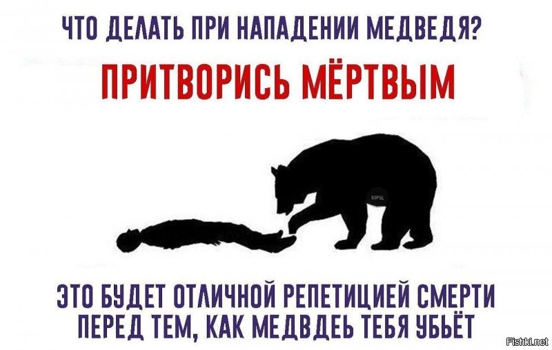 Российский боксер Медведев одолел медведя