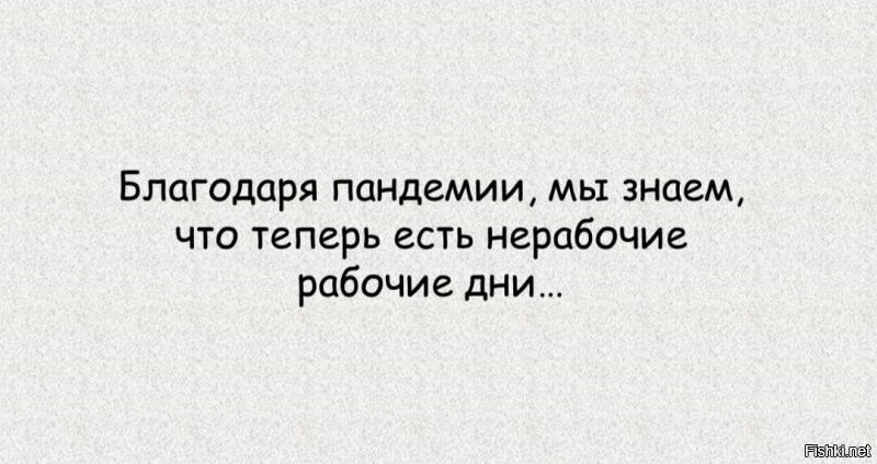 Солянка от 20.10.2021