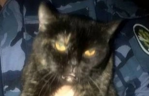 С такой мордой просто так не убегают.
Сто процентов закладчик.