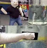 Не ищите здесь смысл. Здесь в основном маразм