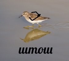 Путин объявил первую неделю ноября нерабочей