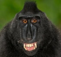 Чем плохие артисты, ну разве что во "мхатах" не учились.