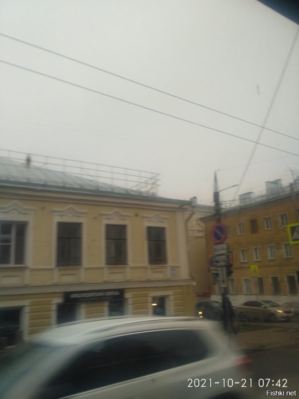 Серо, хмуро, ветрено. Обещали снег по щиколотку, но пока нет.