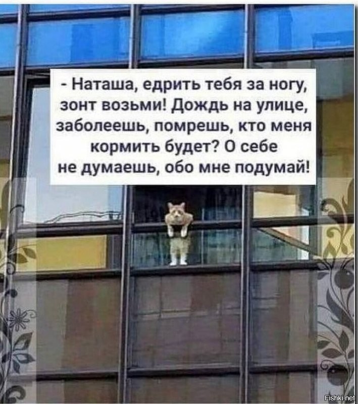 Вот и вторая половина недели