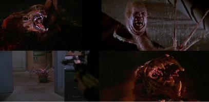 эти кадры по-моему тоже из австралии