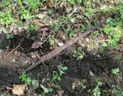 такие и у нас попадаются, особой ценности не имеют (ну если только рукоять украшена чем нить дорогим)