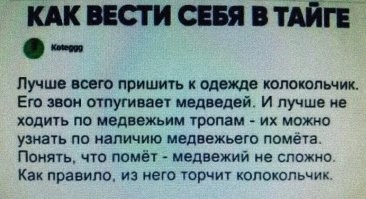 Российский боксер Медведев одолел медведя