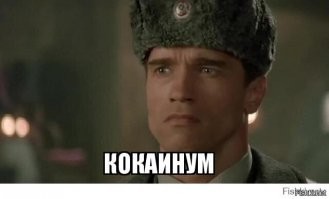 Голливудские звезды, которые говорят по-русски