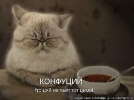 Как бедняк из костромского села создал чайную корпорацию в России