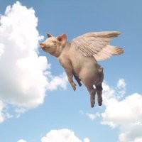 Обычный день в России: 17 колоритных фотографий