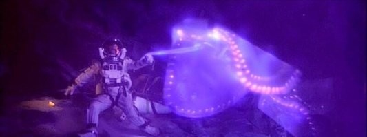 Ещё один морской огурец