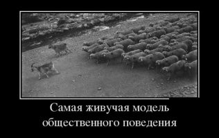 Как только не отвлекали молодежь от основной повестки дня. 
Падать было больно, "бунт" оказался инфантильностью наивных птенцов, выросших в сытости и чистоте.