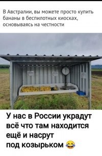 12 интересных фактов, которые поразили любознательных пользователей