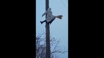 Глушилку включил - результат получил