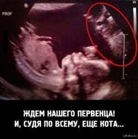 Братья и сестры - шутники по жизни