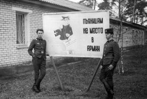 Вранье,, меня взяли в армию и потом за два года ни разу не выгнали, бухали каждый день