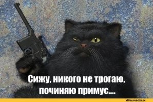 В Кургане женщину-кошку с человеческой грудью постигла судьба воронежской Алёнки