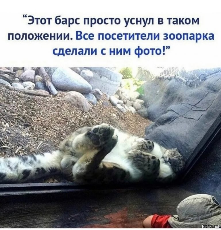 Солянка от 23.10.2021