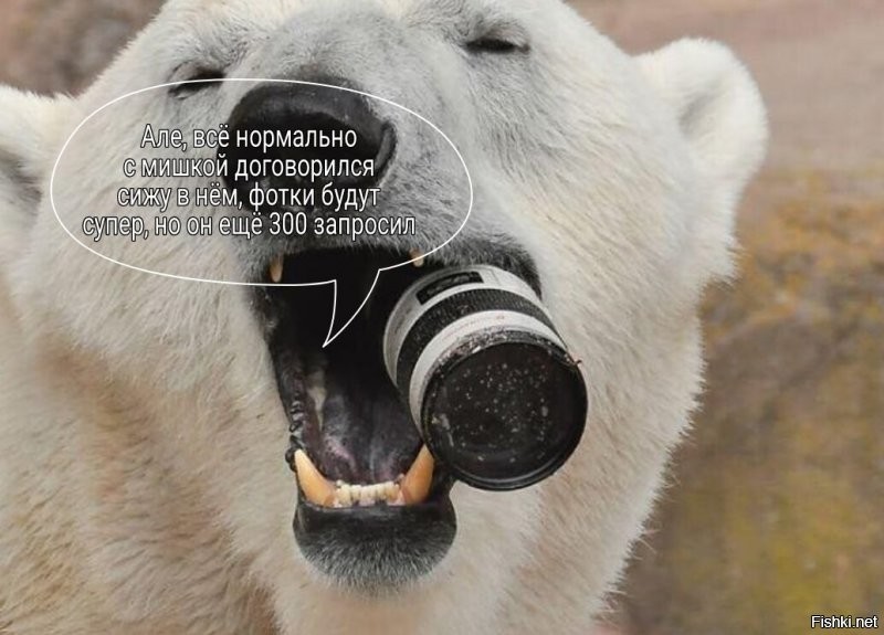 Солянка от 23.10.2021