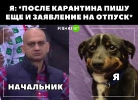 Это я!
Написал заявление на отпуск с 7 ноября, а сегодня в нашей области принято решение с 25 и до 7 числа закрыть почти все организации на карантин.