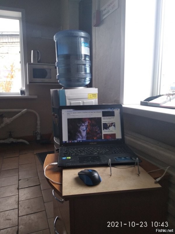Доброй всем