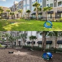 Вот уж точно обломанная надежда, оказывается, в этом дворе не всегда лето и солнечно.