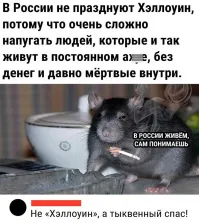 Как я понял, то пост был ради этой русофобской отрыжки: