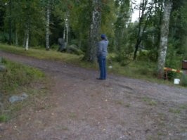 Смешные и познавательные картинки