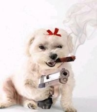 Смешные комментарии из&nbsp;социальных сетей-10