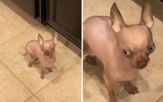 то, что слышат окружающие