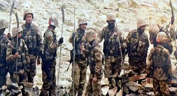 Сейчас им уже наварили - нагинаты. )