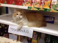 Не просрочка, а товар с выдержкой!