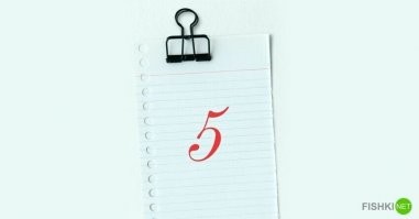 8 из 8. Всегда любил это дело. Со школы.