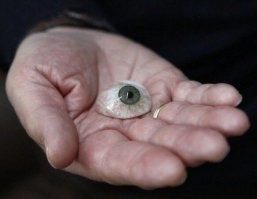 КИА "КОПЕХТО", или 20+ героев с альтернативным мышлением, которые понравились бы Задорнову