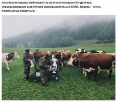 Как это ещё этих коров не признали агентами Кремля??